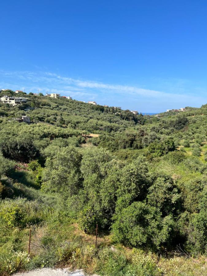 Eugene Apartment Chania  Bagian luar foto